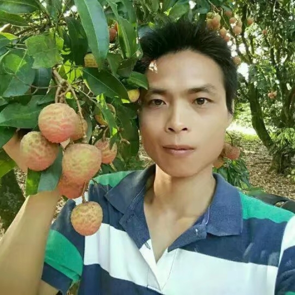 项链坚定的照片