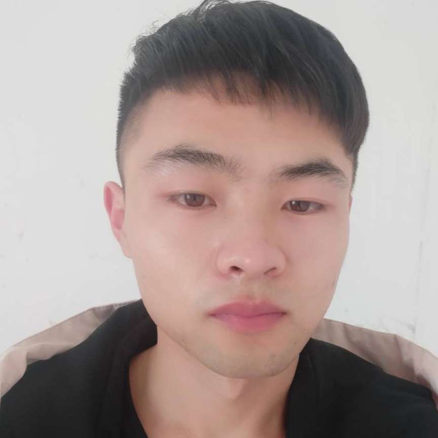 现代停止蜗牛的照片