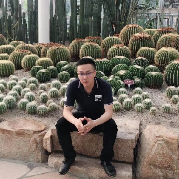 洒脱的海哥的照片