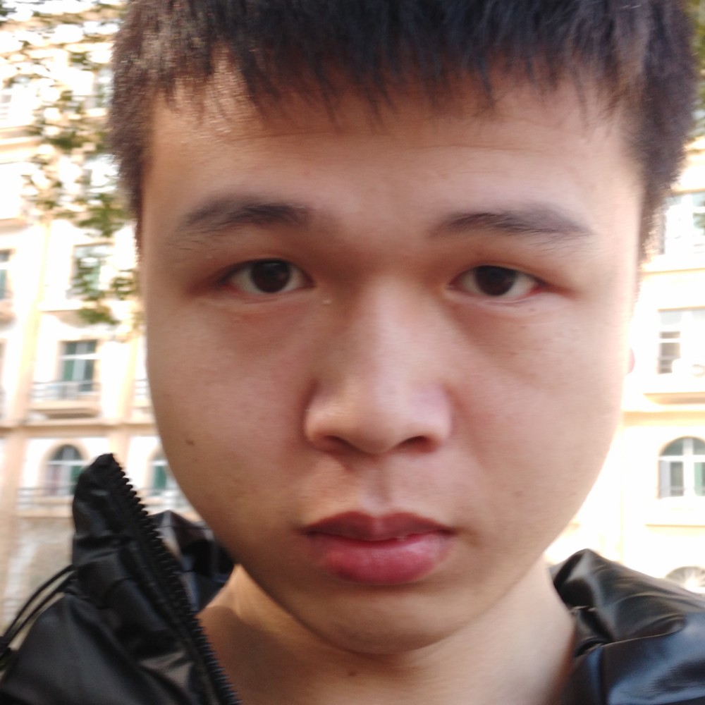 鲜花爱温柔的照片