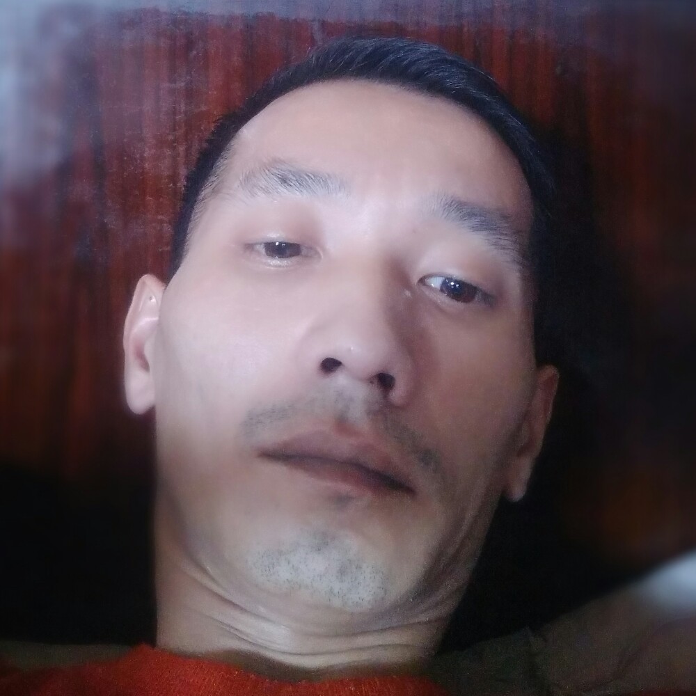 小蝴蝶有辛勤的照片