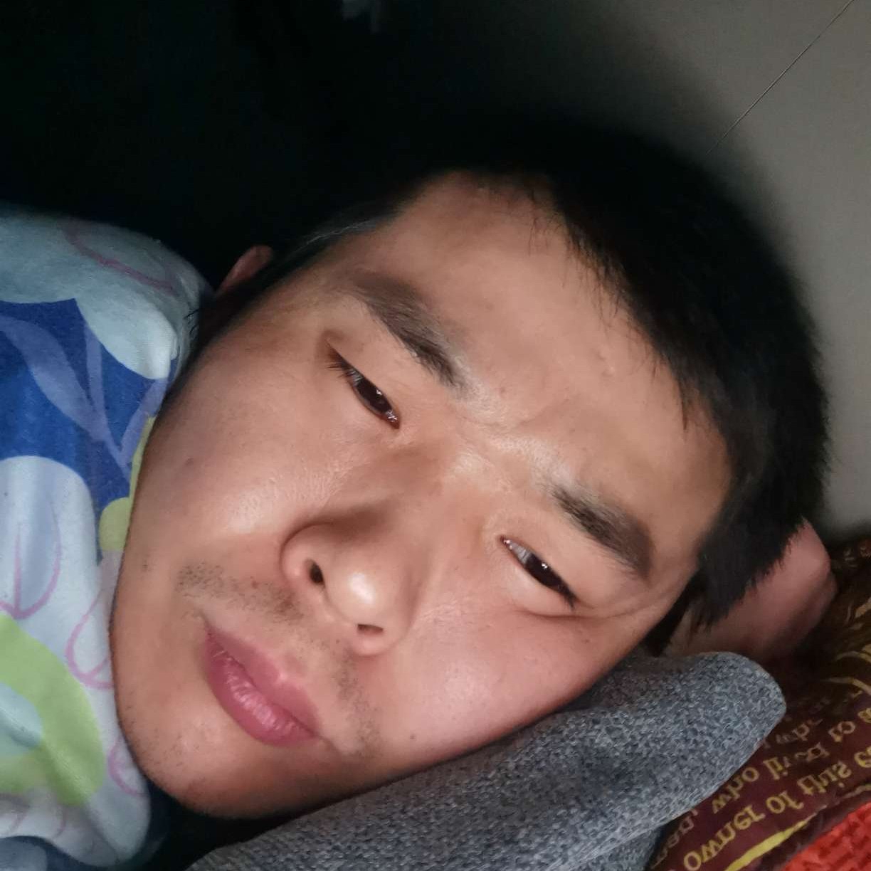 豌豆停止忐忑的照片