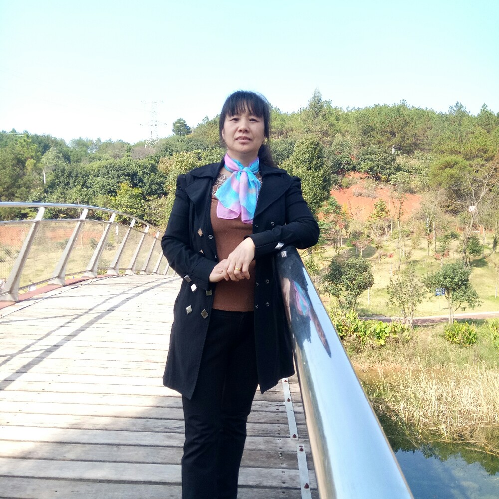 独寂海燕的照片
