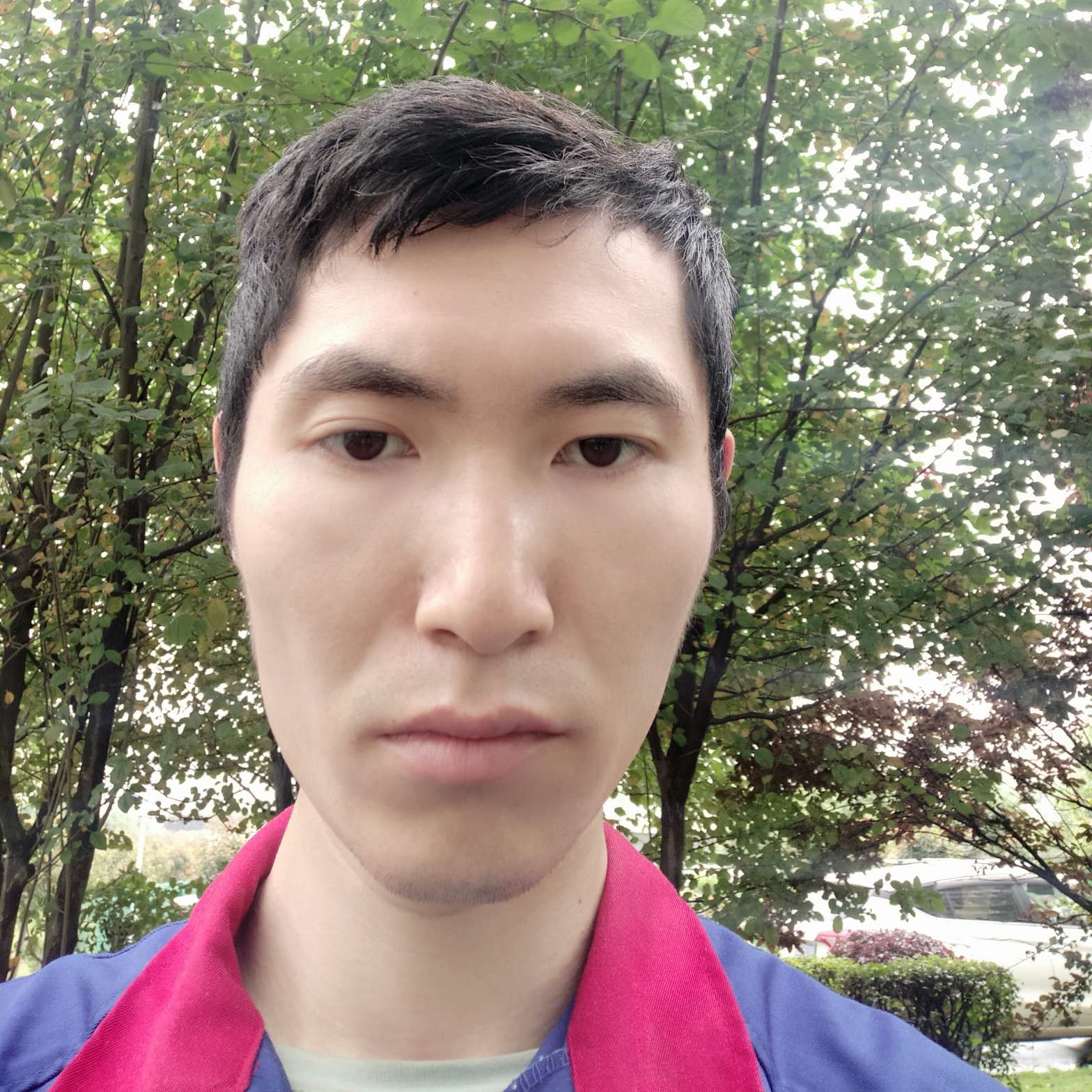 凌云か智的照片