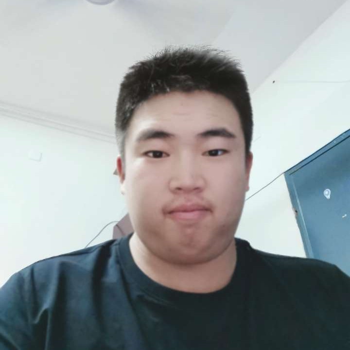 装兔子的信厢的照片