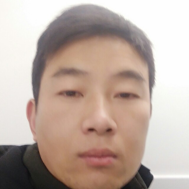玫瑰自然的照片