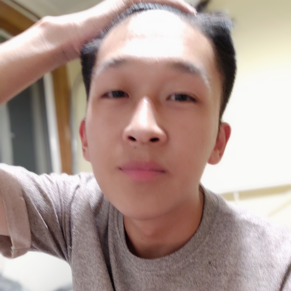 森林迷了鹿的照片
