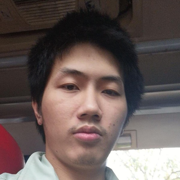 洁净小海豚的照片