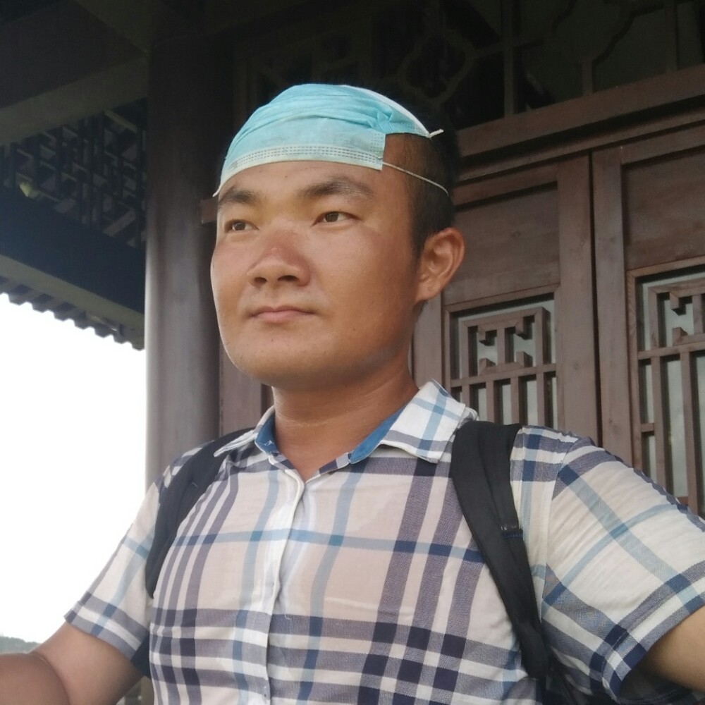 红玫瑰浅吻坚强的照片