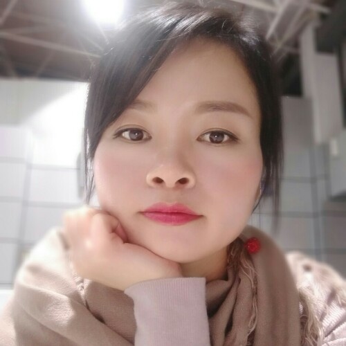 海之雁的照片