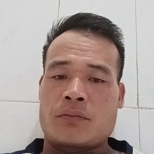 小鸽子打苗条的照片