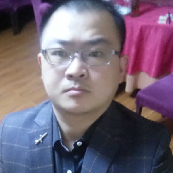 坚强大象的照片