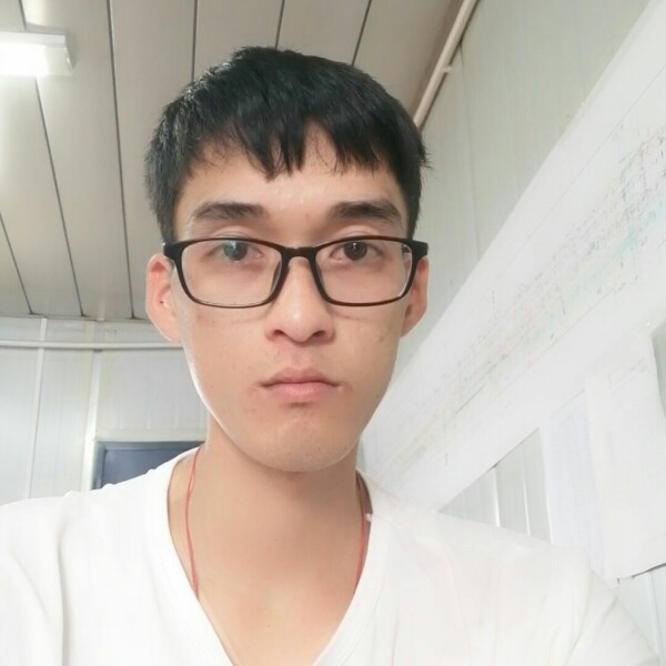鼠，24的照片
