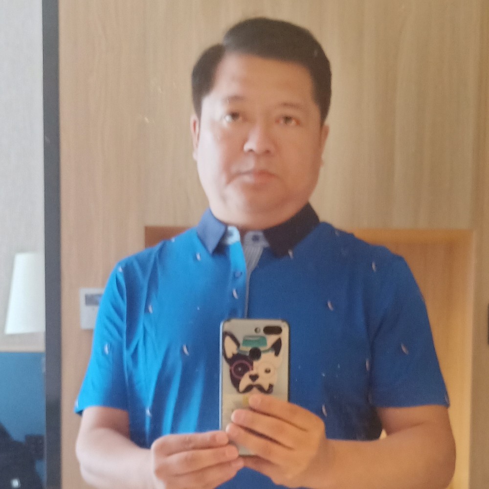 海鸥飞飞的照片