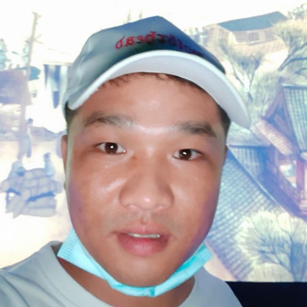 电脑专注的照片