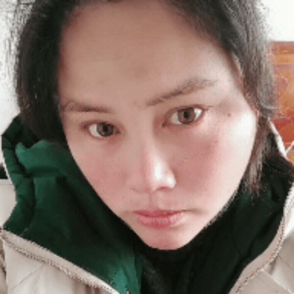 靓丽狗的照片