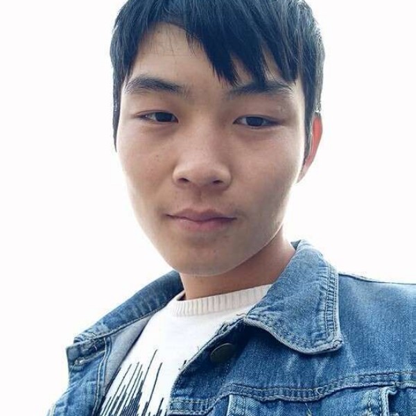 小海豚尊敬的照片