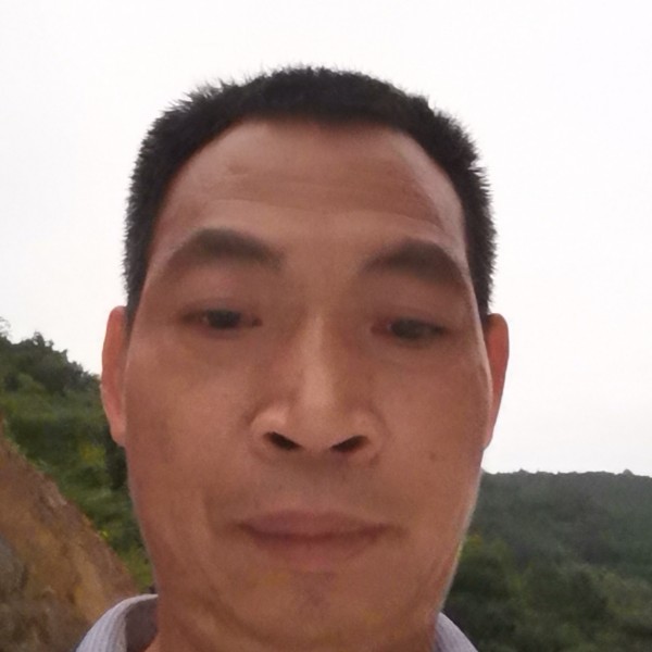 早晨倾心淡淡的照片