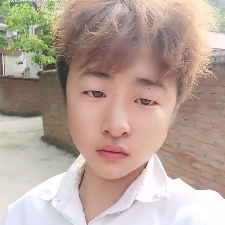 猫咪回眸1辈子旳的照片