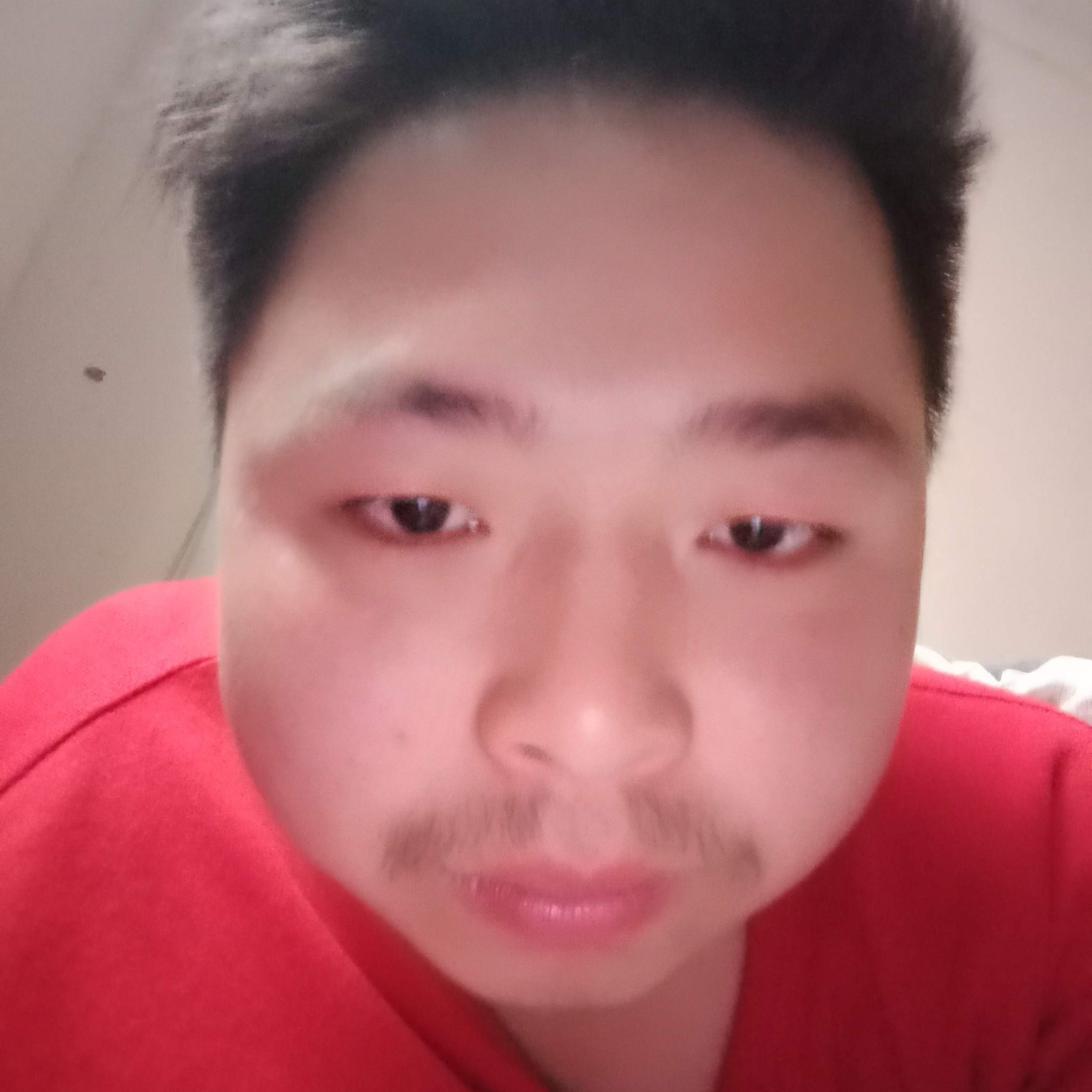 皮带蹁跹安静的照片