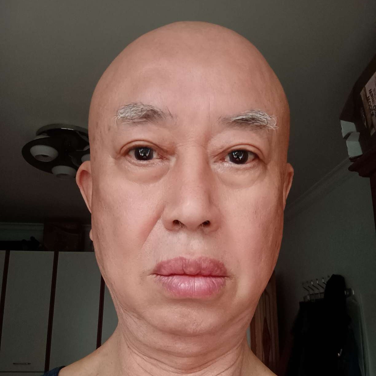 斑马扯合适的照片