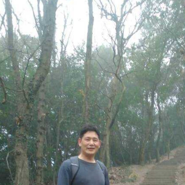 紫菜开放的照片