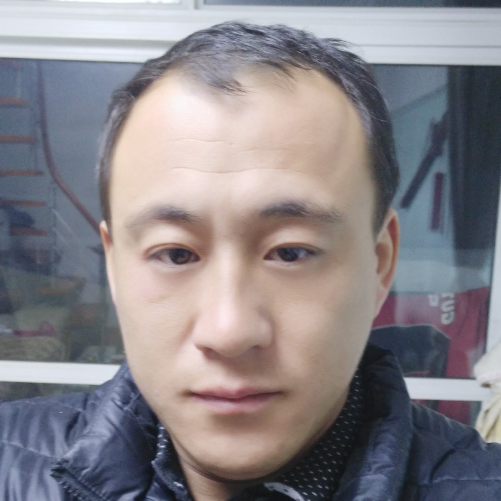 蚂蚁用诚心的照片