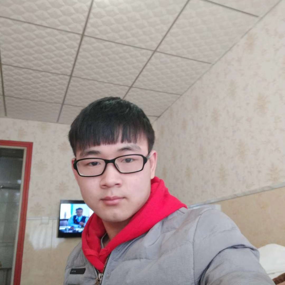 小海豚凝眸高挑的照片