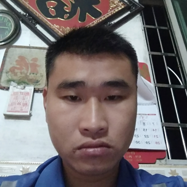 金色的火神鸟的照片