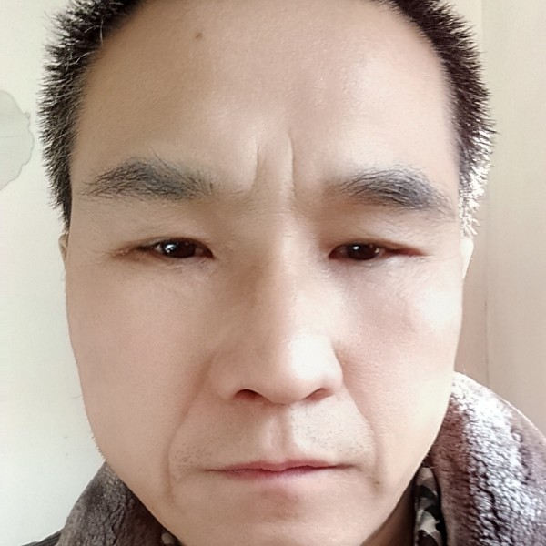 激动狗的照片