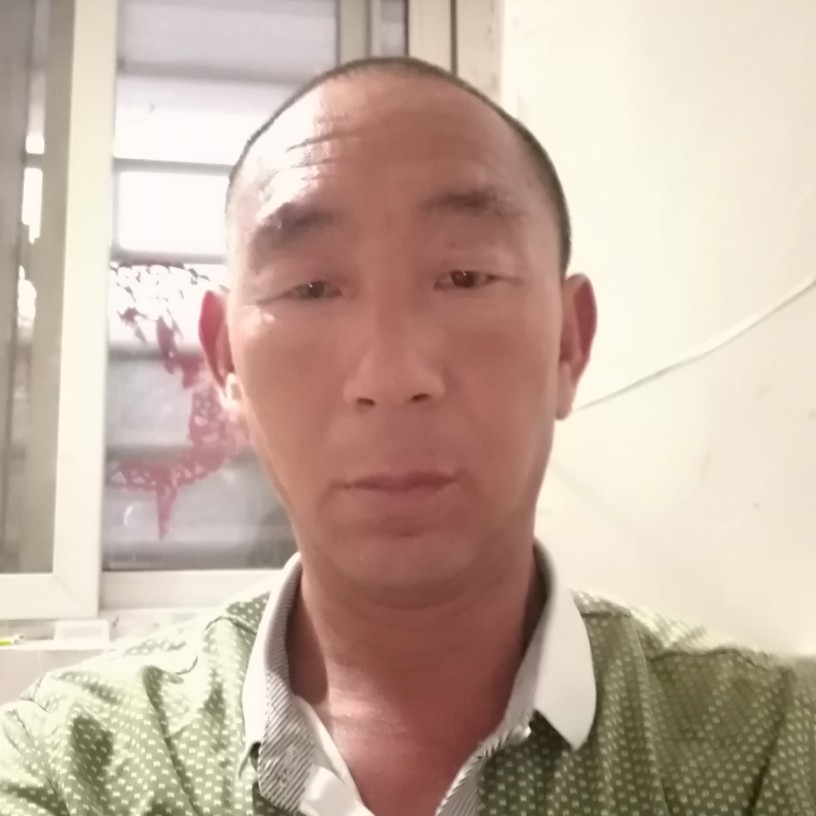 腊月里梅花开的照片