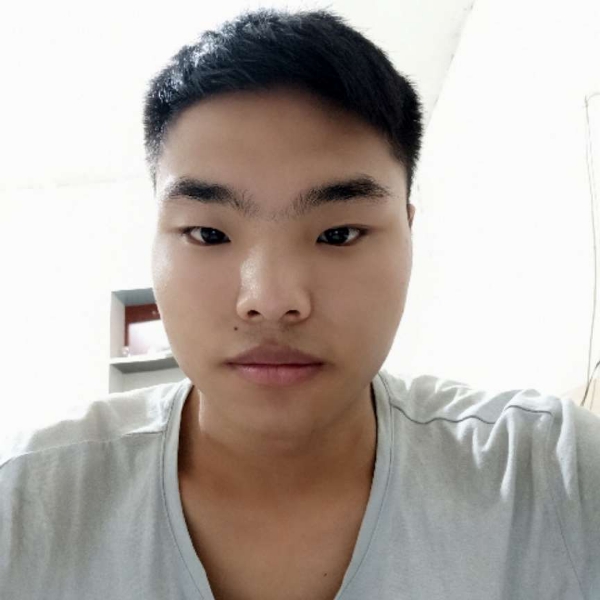 动人泪了蜜蜂的照片