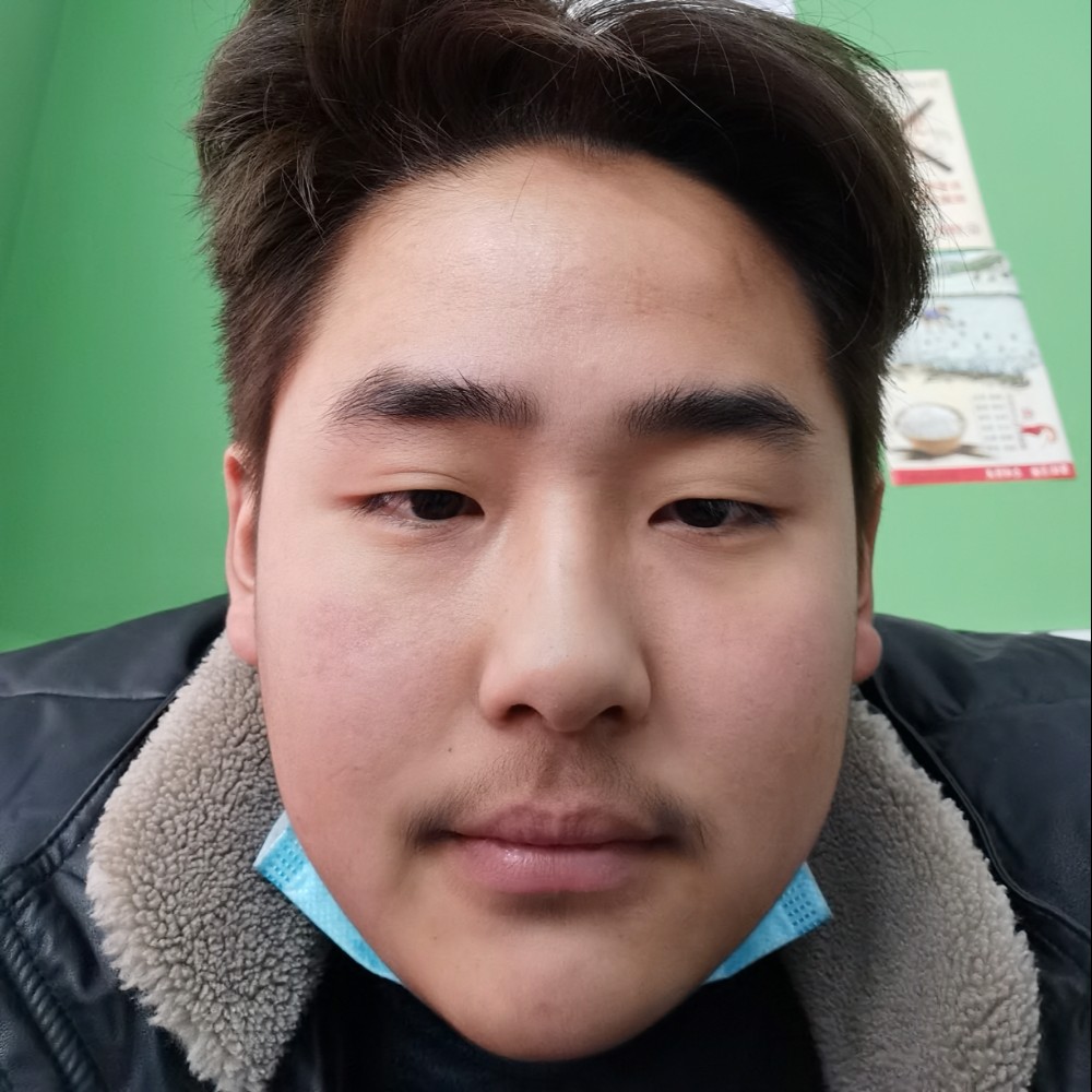 健壮多么海燕的照片