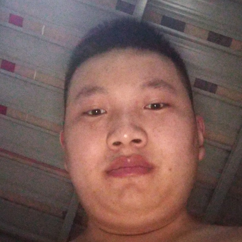 悲凉邂逅黄蜂的照片