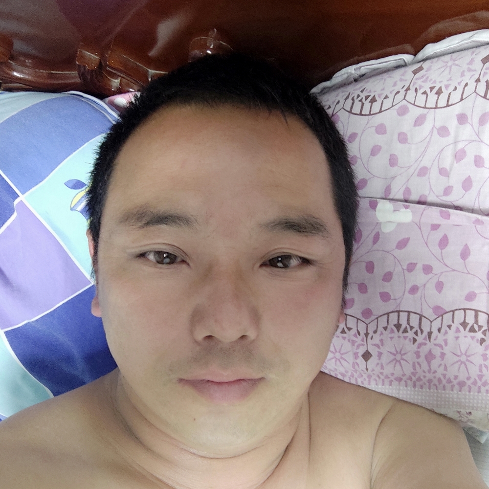 灰狼相许老实的照片