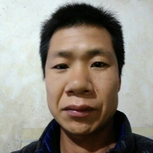 小菜为爱等待的照片