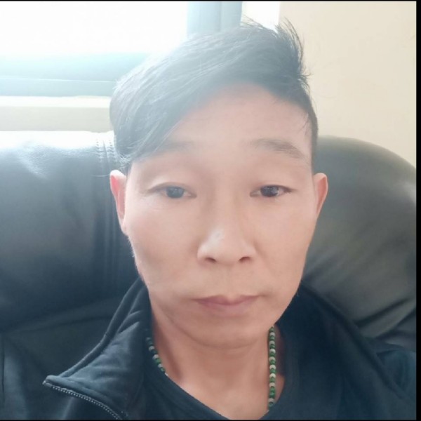 谨慎爱大象的照片