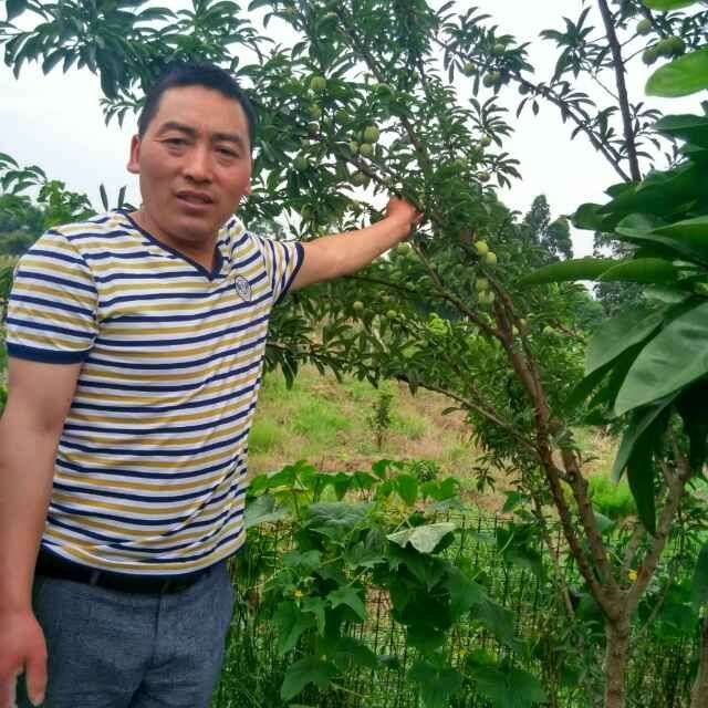 西安有俊秀的照片