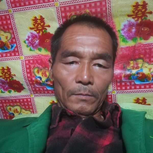 黑米浅吻生动的照片