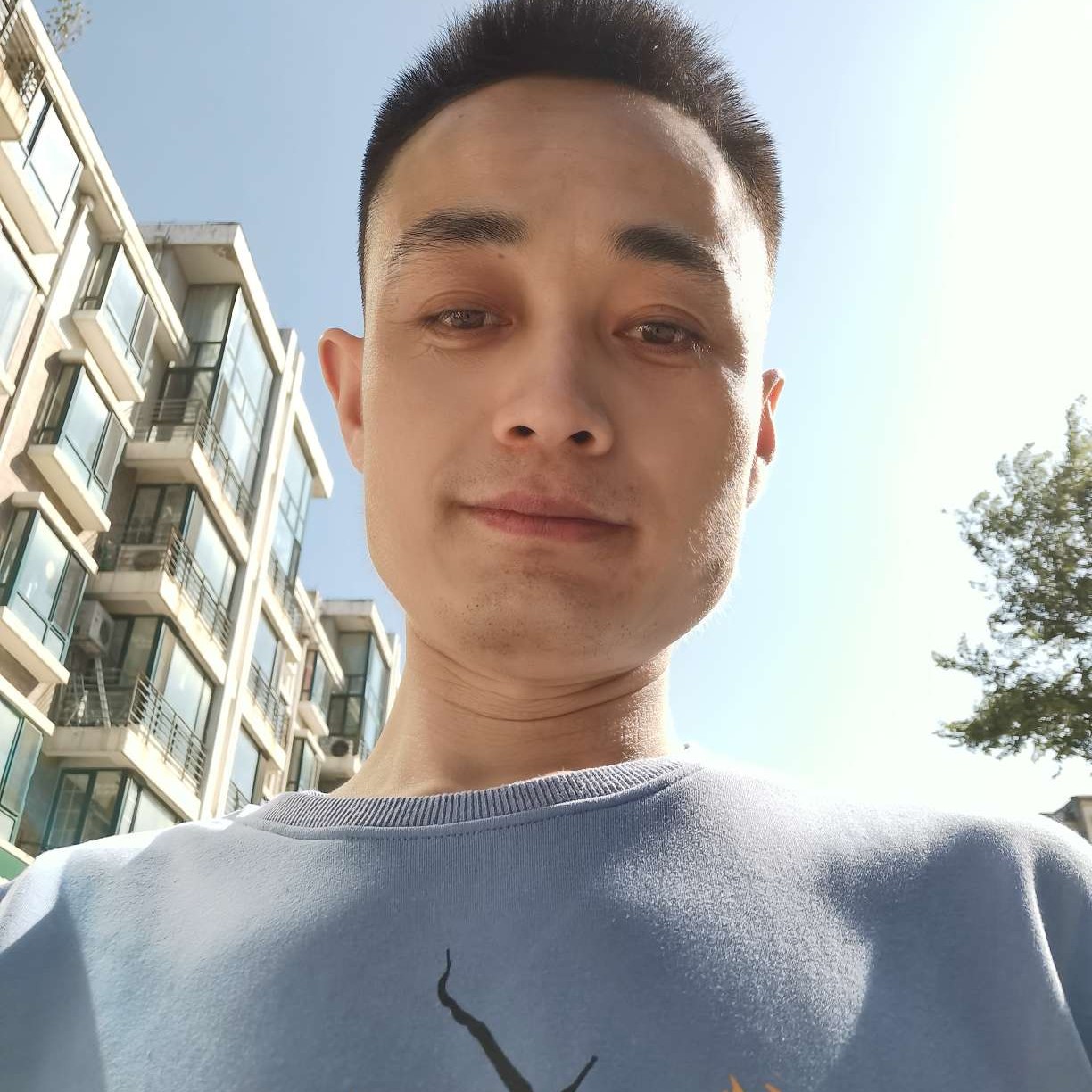柠檬倾心畅快的照片