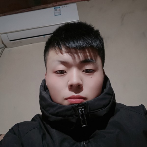 翩飞与仙人掌的照片