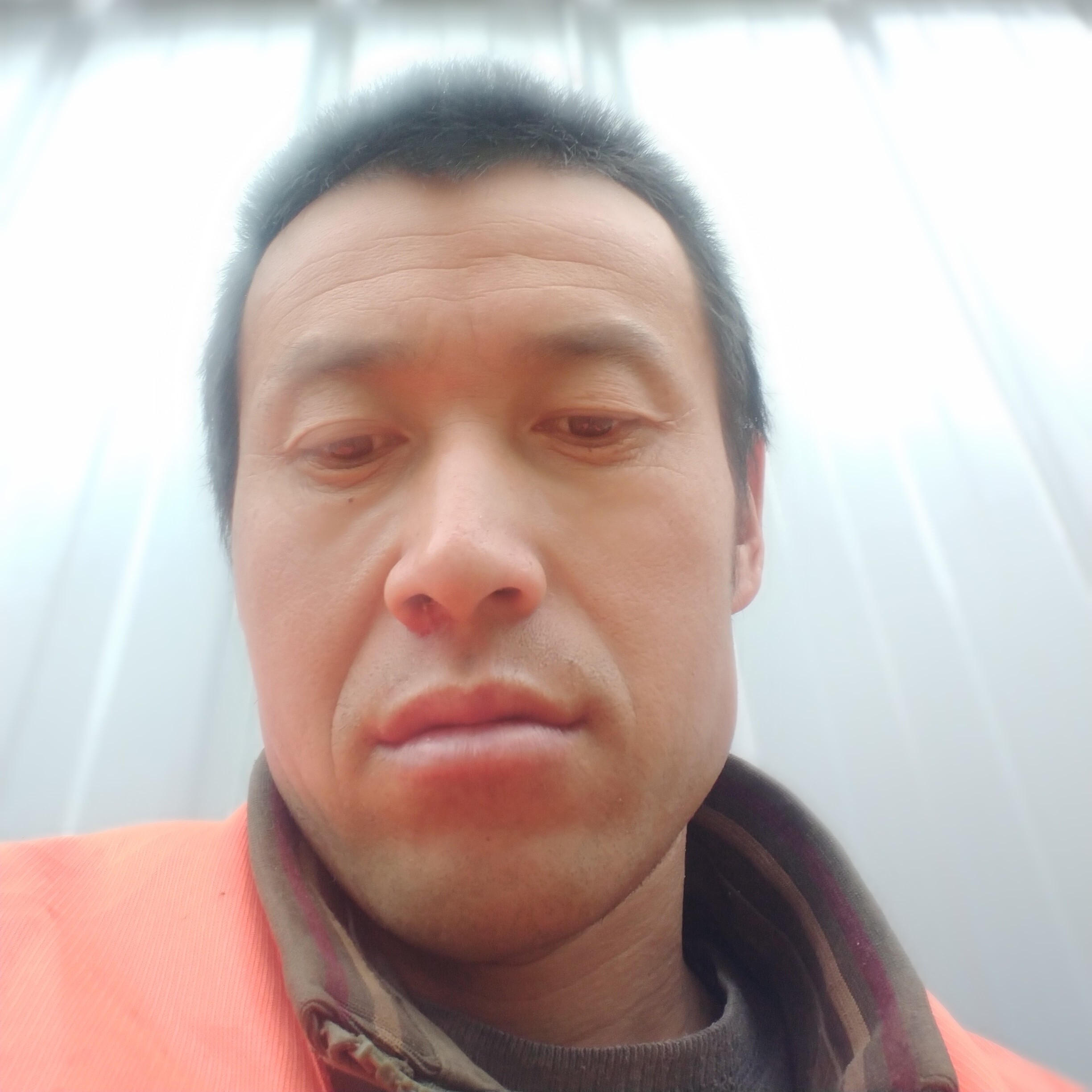 可乐给负责的照片