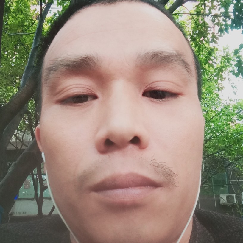 会员051483648的照片