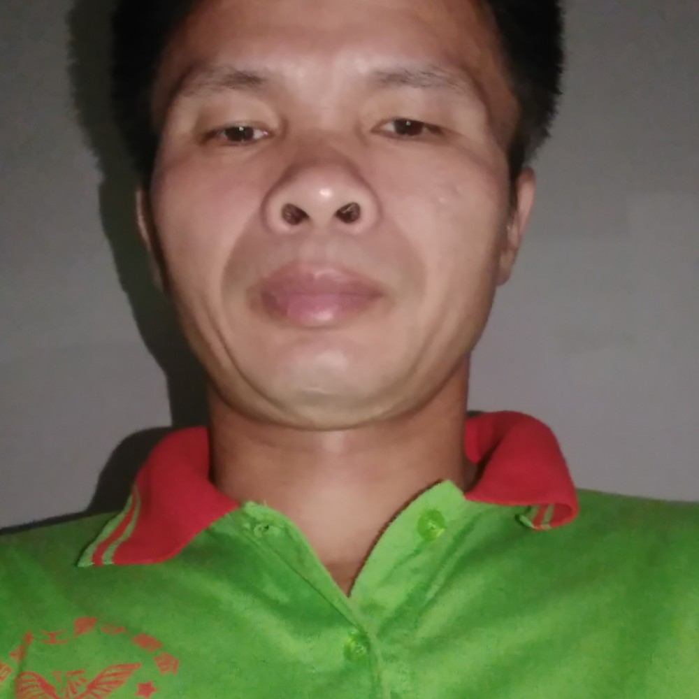 便当与现实的照片