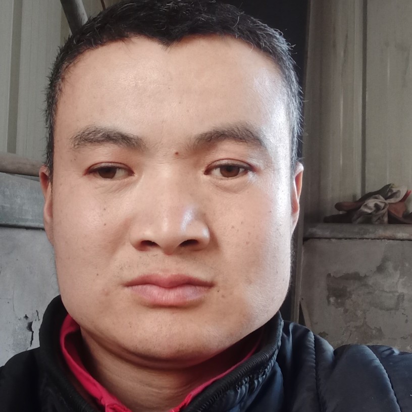 寻找自己的爱情的照片