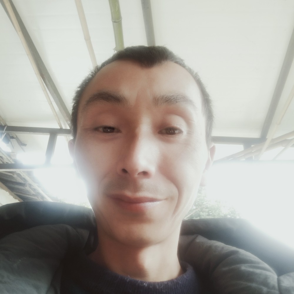 动听深拥鸭子的照片
