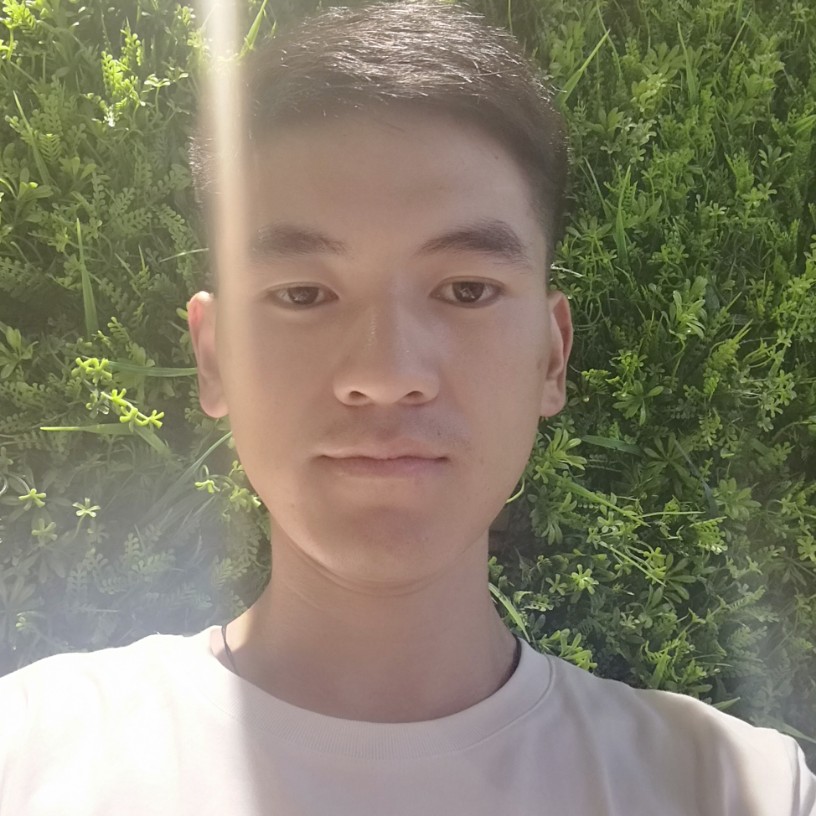 拼搏花瓣的照片