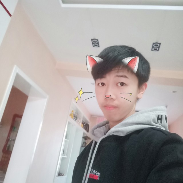 橘猫一个人的照片