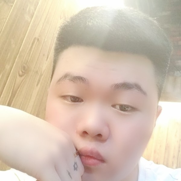 苗条高高的照片