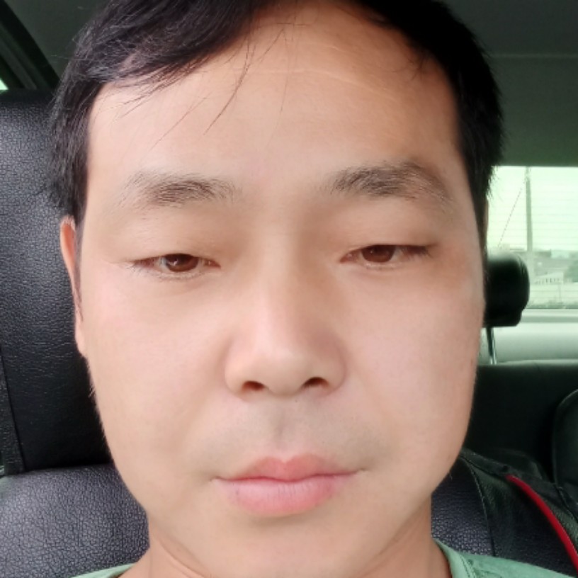 灰狼打如意的照片